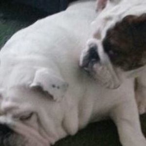 Meet your Posher, Kelli